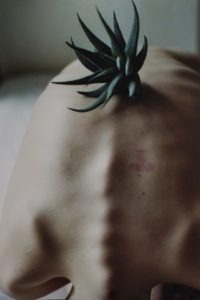 Sara lorusso fotografias sobre a feminilidade arte no caos florescer